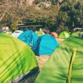夏のキャンプで出会う虫対策と快適な過ごし方
