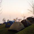 キャンプ地でクマに遭遇した時の具体的な行動マニュアル
