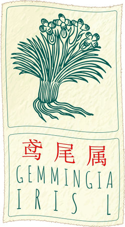 日本各地の代表的な薪の樹種と魅力