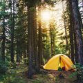 初心者向けソロキャンプ道具選びとパッキングノウハウ