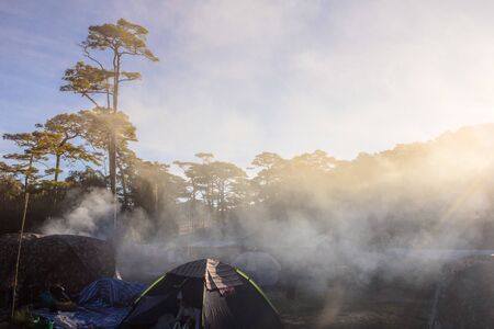 テント選びのポイントと人気日本ブランドの徹底比較