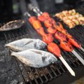 魚釣りから調理まで!親子で体験する川魚キャンプ料理の楽しみ方