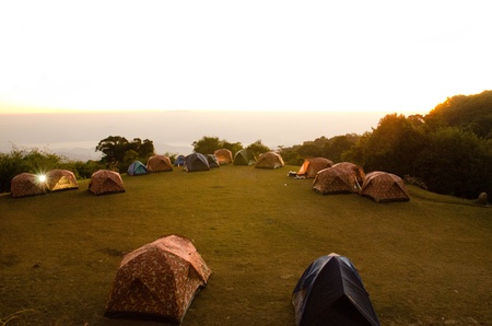 ペット同伴時のモラルと子どもの安全対策：日本キャンプ場の現状と課題