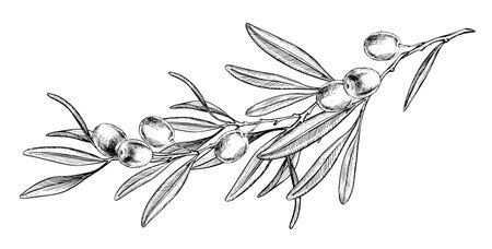 山岳キャンプの魅力とベストスポット