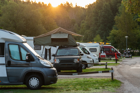 ペット連れ車中泊：道の駅・RVパークでの注意点と楽しみ方