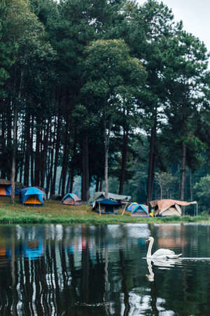 サイクリング×キャンプ！関東地方でのアクティブな過ごし方