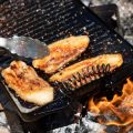 焚き火で楽しむ旬の魚料理：さばき方と絶品焼き魚の秘訣