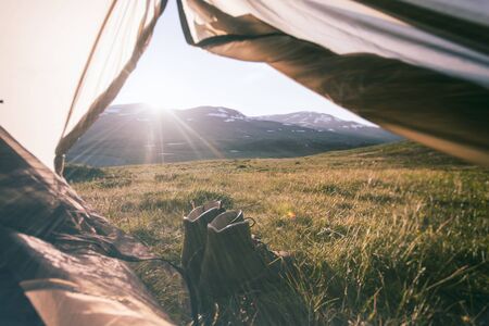 春限定！自然観察と早朝散歩のすすめ