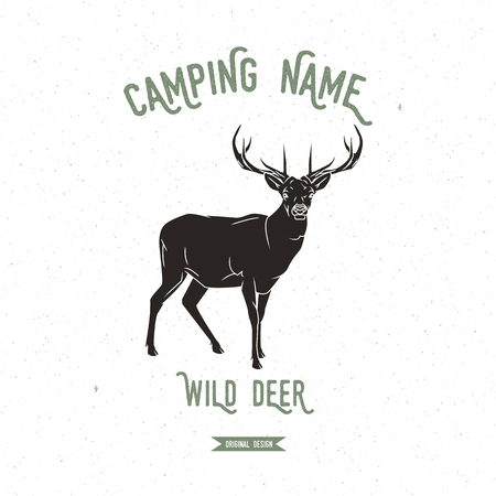 アウトドア料理を盛り上げる簡単収納＆動線アイデア