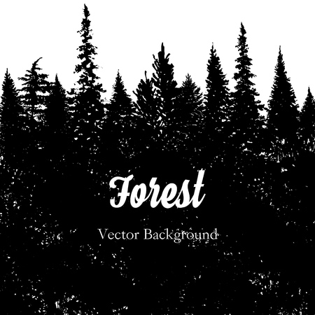 素材ごとのメリット・デメリット